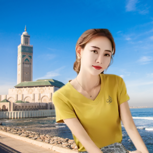 Short-Sleeve V-Neck T-Shirt 'Whispers of Jerusalem'