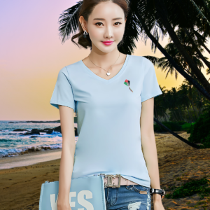 Short-Sleeve V-Neck T-Shirt 'Freedom's Flight'